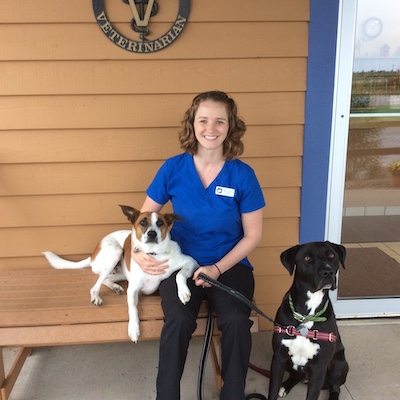 ABOUT | Eagle River Animal Hospital